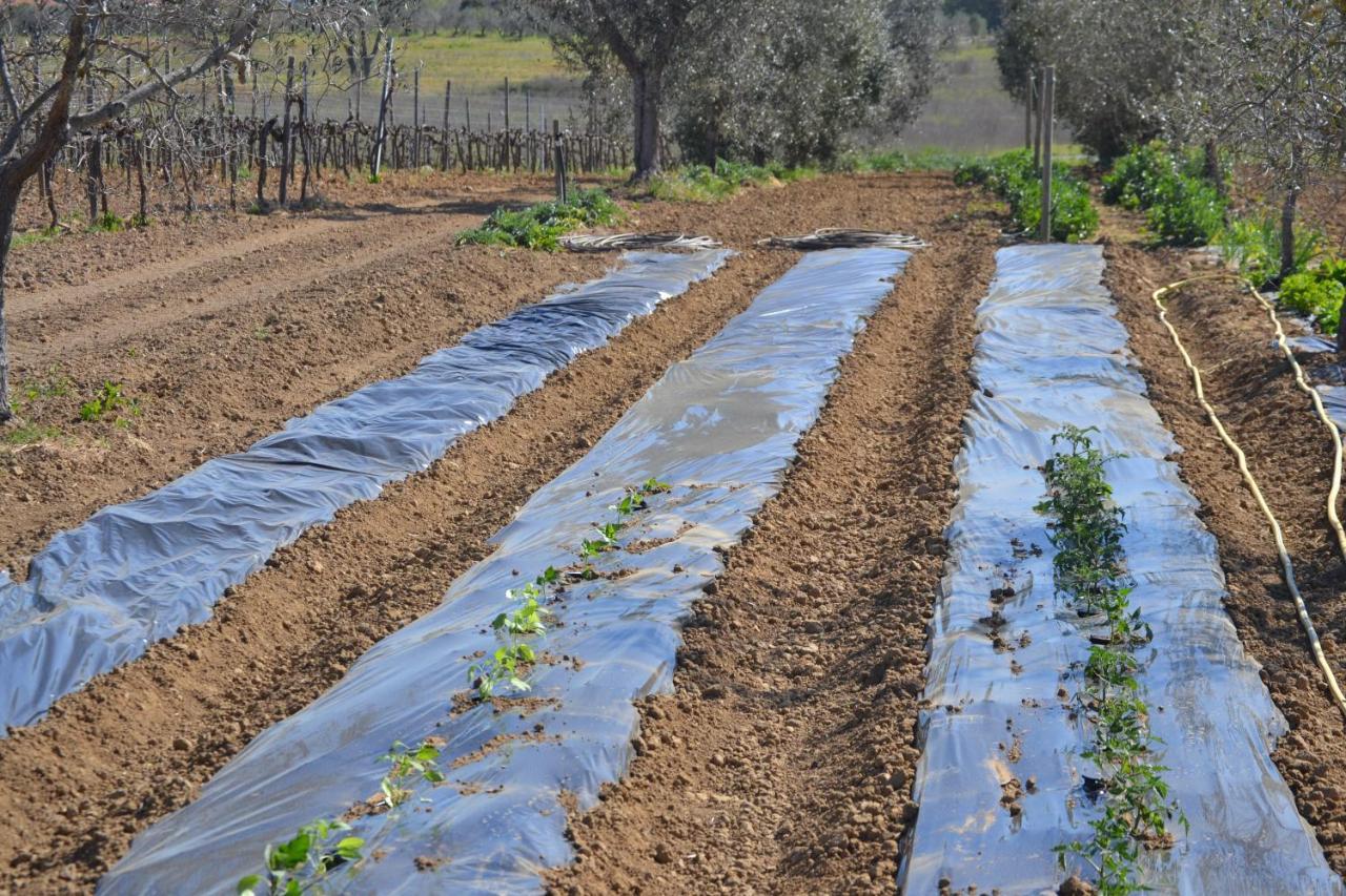 Agriturismo Il Laghetto Grosseto Luaran gambar