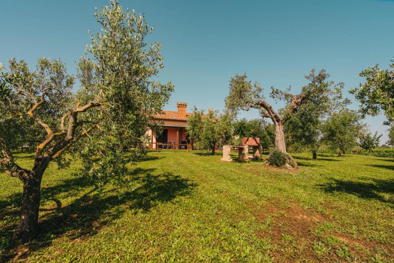 Agriturismo Il Laghetto Grosseto Luaran gambar