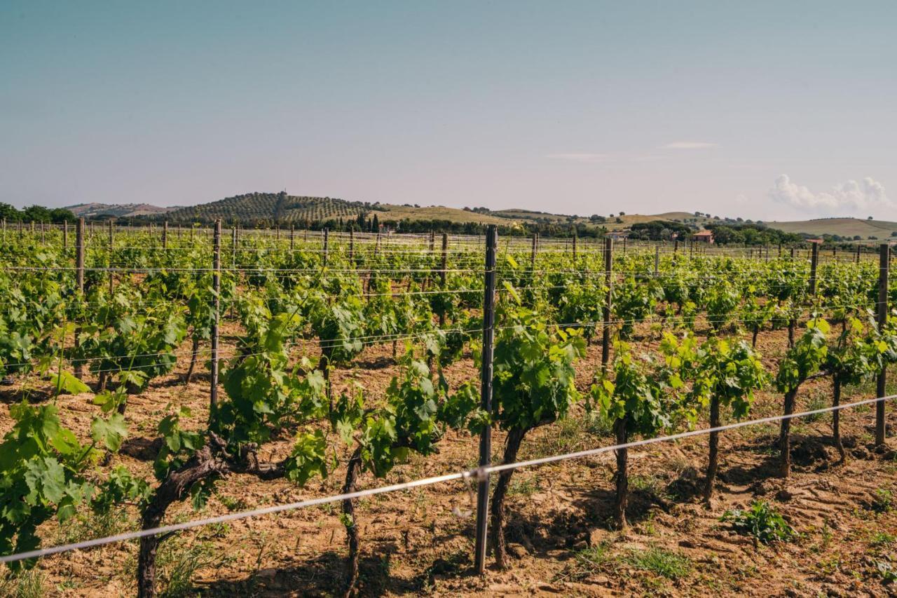 Agriturismo Il Laghetto Grosseto Luaran gambar