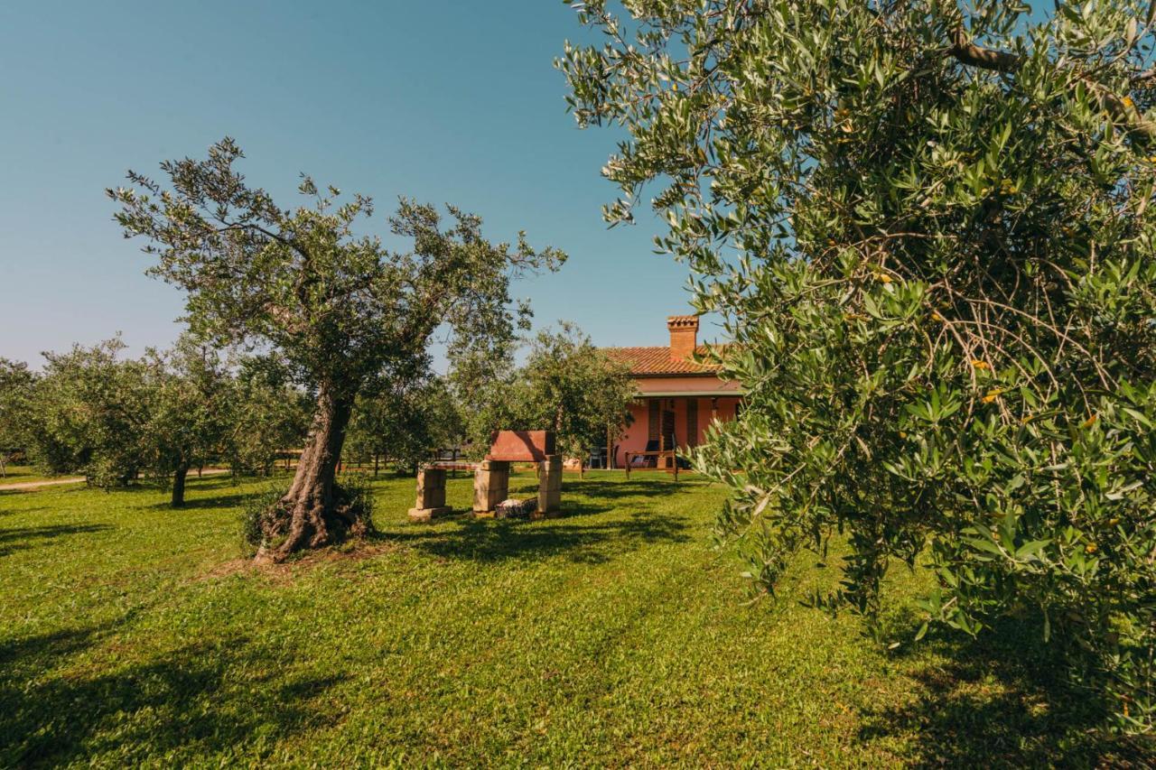 Agriturismo Il Laghetto Grosseto Luaran gambar